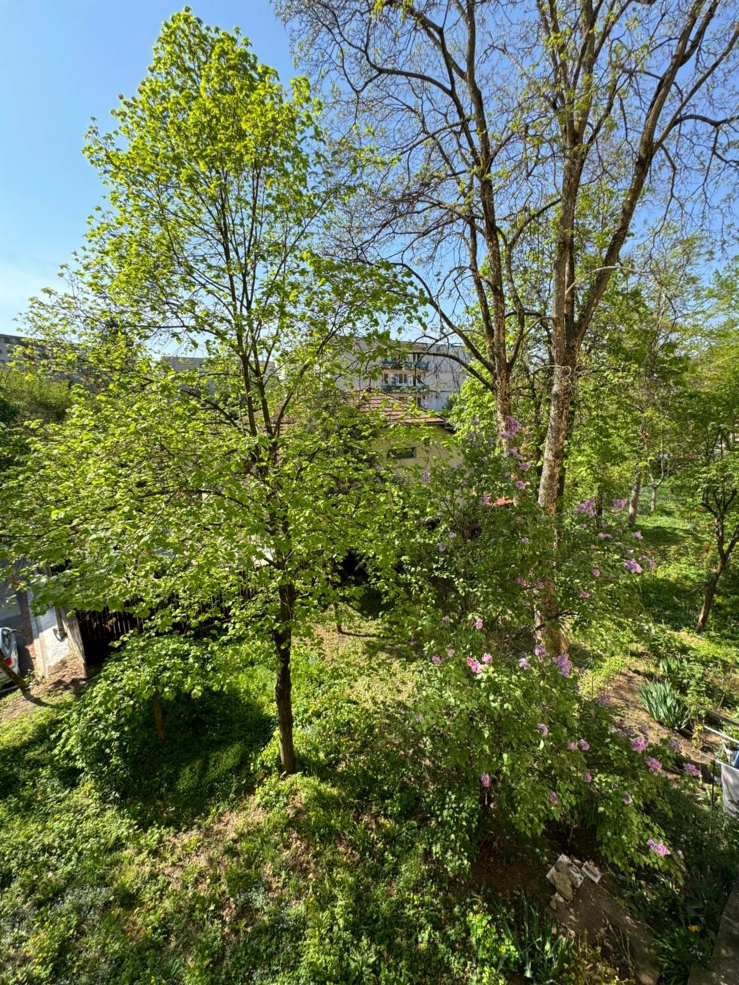 Appartamento Serenity Garden Walking 2 Untold Cluj-Napoca