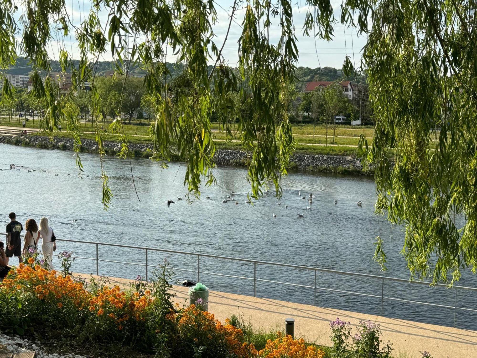 Apartment Serenity Garden Walking 2 Untold Cluj-Napoca