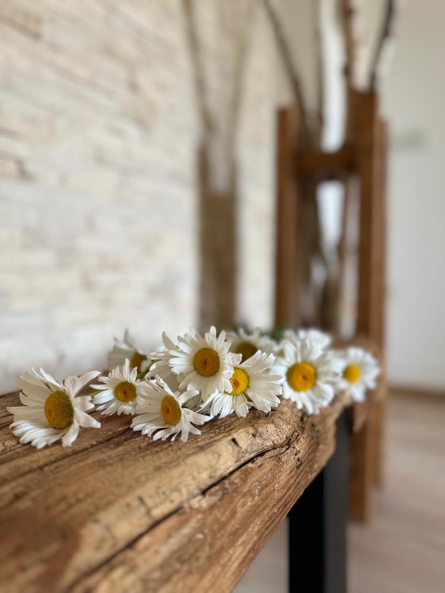 Serenity Garden Walking 2 Untold Apartment Cluj-Napoca